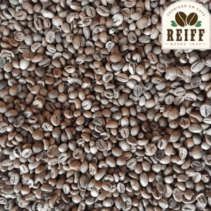 CAFÉ EM GRÃO CRU 100% CONILON
